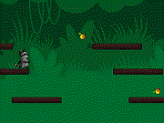 play Super Raccoon