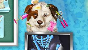 play Pet Rescue Hospital