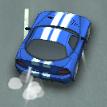 play Wild Race