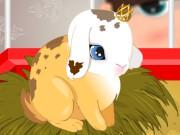 play Bunny Buddy