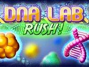 play Dna Lab Rush