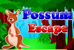 play Ajaz Possum Escape