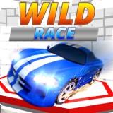 play Wild Race
