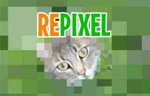 play Repixel Find A Cat