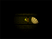 play Two Buttons In The Darkness
