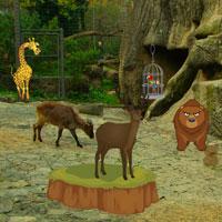 play Wildlife Sanctuaries Escape