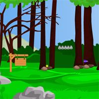 play Forest Koala Escape