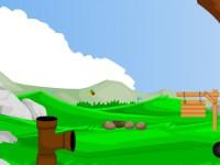 play Forest Koala Escape