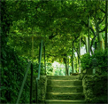 play Forestiere Underground Gardens Escape