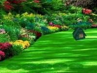 play Backyard Flower Garden Escape