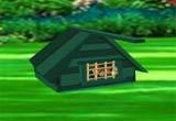 play Backyard Flower Garden Escape