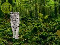 play Deadly Jungle Escape