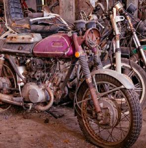 Eight Escape From Abandoned Motorcycle Graveyard