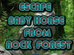 play Hiddeno Escape Baby Horse From Rock Forest