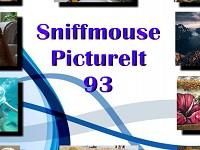 play Sniffmouse Pictureit 93