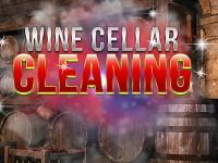 play Wine Cellar Cleaning