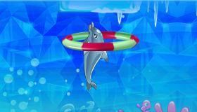 play Dolphin Show For Girls