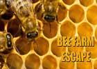 play Crazyescapegames Bee Farm