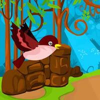 play Ajaz Robin Bird Escape