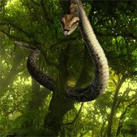 play Jungle Book Forest Escape