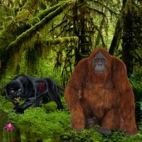 play Jungle Book Forest Escape