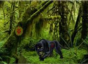 play Jungle Book Forest Escape