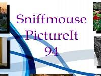 play Sniffmouse Pictureit 94