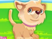 play Puppy The Cutest Dog