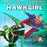 play Justice League Training Academy Hawkgirl