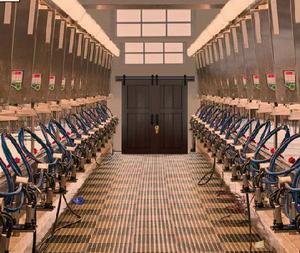 play Eight Escape From Milk Factory