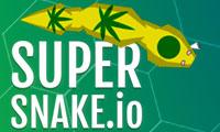 play Supersnakeio