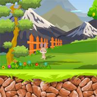 play Who Can Escape Forest Cave