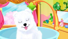 play Puppy Grooming For Girls