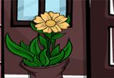 play Escape Balcony