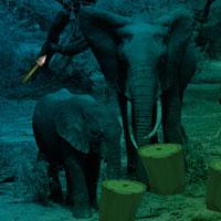 play Elephant Forest Escape