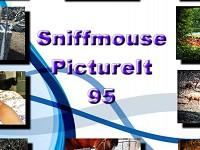 play Sniffmouse Pictureit 95