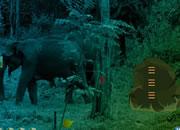 play Elephant Forest Escape