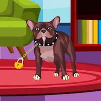 play Ajaz Dexter Dog Escape