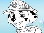 play Paw Patrol Coloring