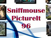 play Sniffmouse Pictureit 96