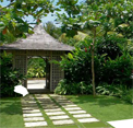 play Escape From Tropical Garden