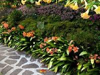 play Escape From Tropical Garden