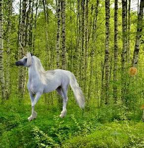 play Lolescape Enchanted Fox Forest Escape