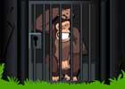 play Ape Cage Escape