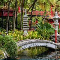 play Escape-From-Tropical-Garden