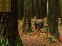 play Bear Forest Escape