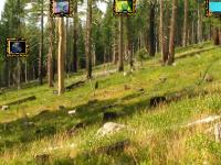 play Ancient Timber Forest Escape