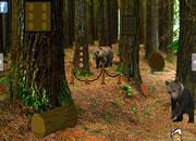 play Bear Forest Escape