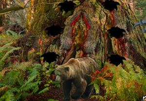 play Bear Forest Escape Game