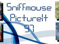 play Sniffmouse Pictureit 97